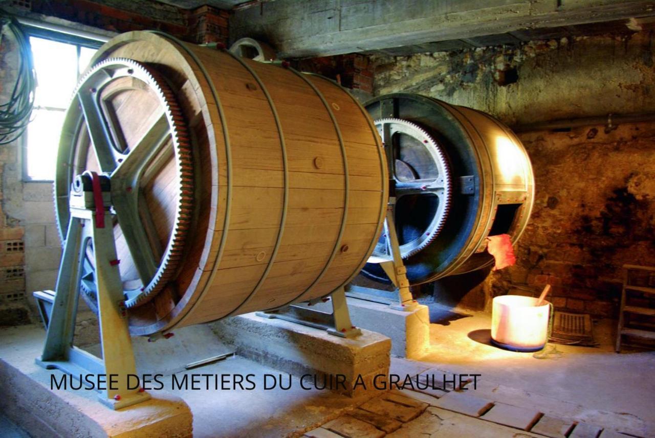 Loft Cosy - Hypercentre - Sauna - 200M2 - Wifi Graulhet ภายนอก รูปภาพ